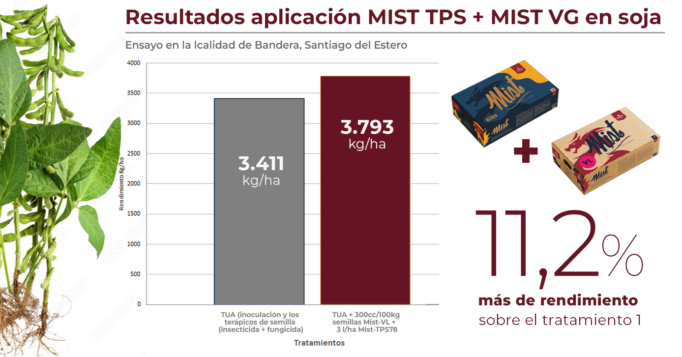 cuadro soja Mist VL - Mist VG